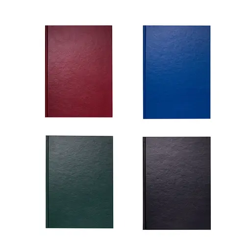 Книга обліку, А4, 96 арк., клітинка, бумвініл, тверда обкладинка - фото 2