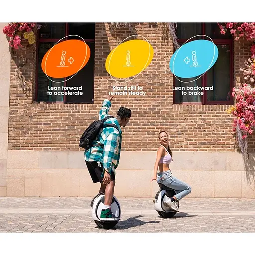 Моноколесо InMotion E20 [133568] - фото 3