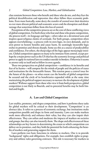 Global Competition. Law, Markets, and Globalization - фото 8