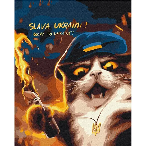Картина по номерам Котик повстанец Марианна Пащук Brushme 40x50 см разноцветная 000276913