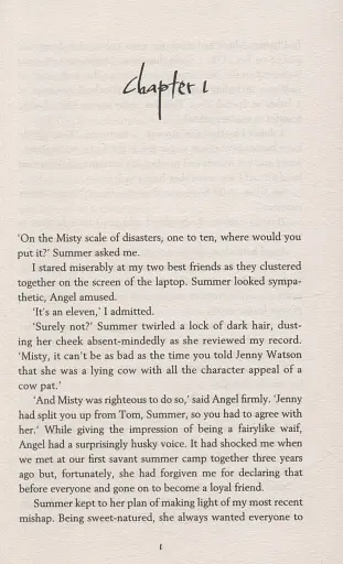 Misty Falls (Savant Series Book 1) - фото 4