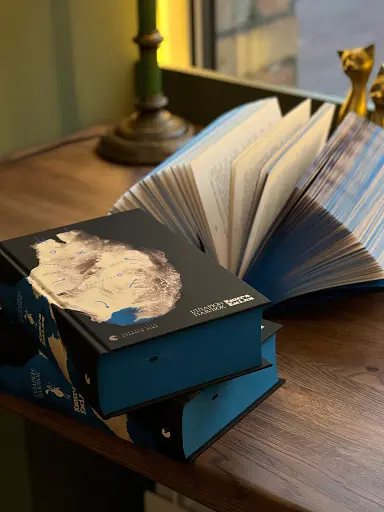 Книга Еміля - фото 5