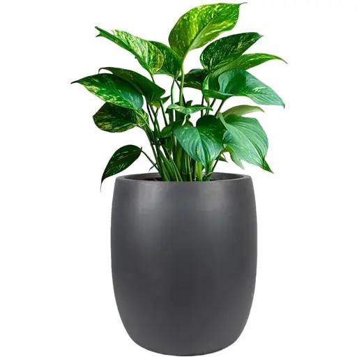 Кашпо Engard Сондріо 37х40 см (GA09-1)