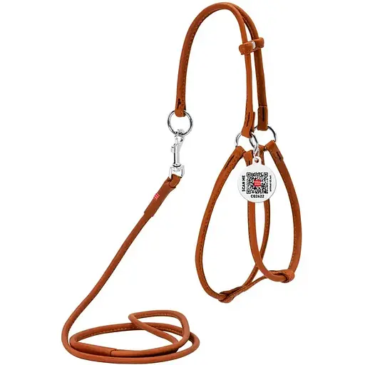 Шлея з повідцем для собак Waudog Soft з QR паспортом шкіряна кругла Д 6 мм, А 42-60 см, В 46-64 см коричнева - фото 1