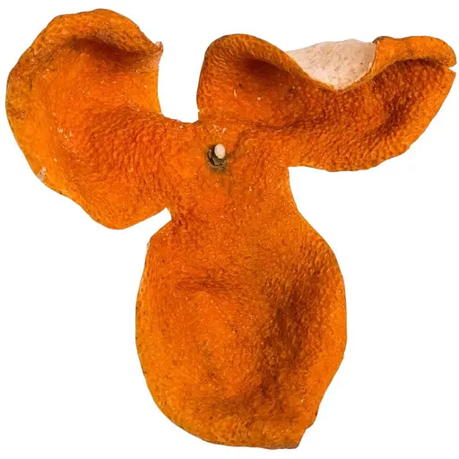 Цитрусовый чай Чень Пи - 50 г