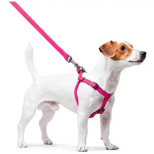 Шлея для собак Waudog Waterproof водостійка з QR паспортом, металічна пряжка-фастекс, рожевий - фото 6