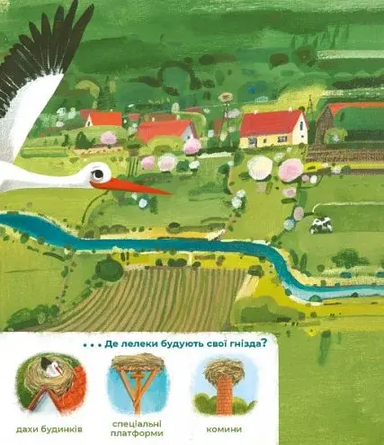 Відкривай Тулі-Тулі Дух-опікун тварин розповідає історії про них - фото 3