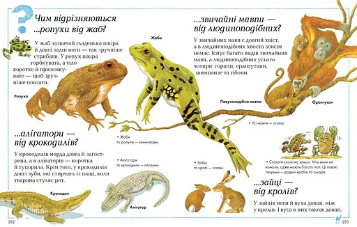 Велика книга «Чому?» - фото 4