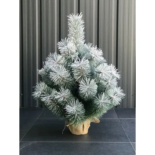 Сосна Hvoya Lux 70 см в мешковине заснеженная - фото 2