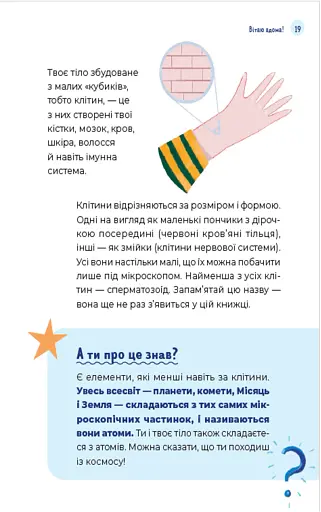 Путівник світом дорослішання для хлопців. Зміни в тілі, емоції та бодіпозитив - фото 11