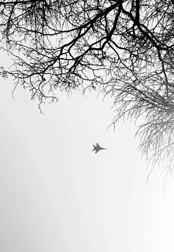 Стежки війни, стежки любові - фото 4