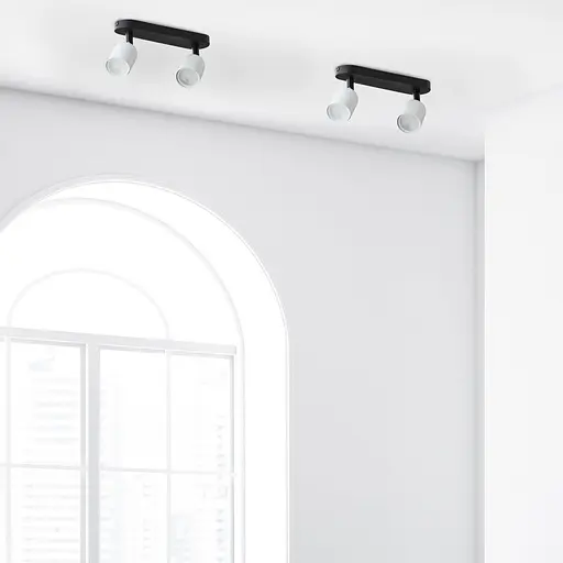 Світильник-спот TK Lighting TOP Black/White 2 6266 - фото 2