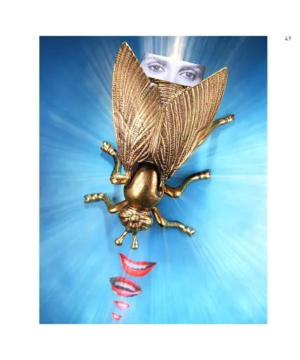 Ordered Chaos. Упорядкований хаос - фото 4