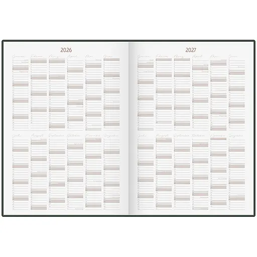 Щоденник датований Brunnen Euro 10 років А4, 208 аркушів сірий (70-22 404 014) - фото 5