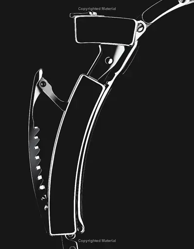 The Watch Book. Rolex - фото 4