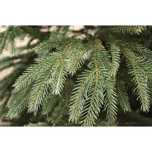 Штучна пухнаста ялинка Казка (висота 2.50 м) лита (Зелена) - фото 2