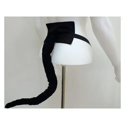 Хвіст довгий - фото 1