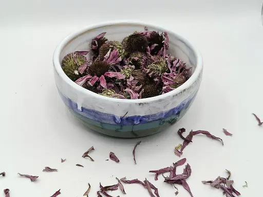 Ехінацея квіти сушені, 25 г - фото 4