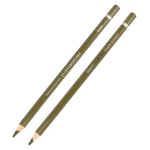 Карандаш акварельный 99IDEAS "Aqua Expert", Reed/Тростевой, 99AE-REED - фото 2