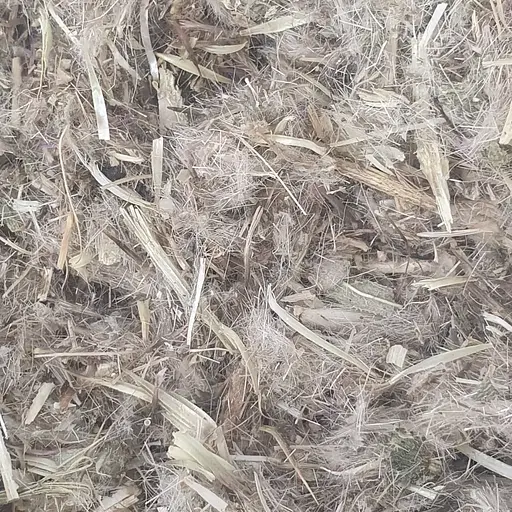 100 г артишок справжній трава сушена - свіжий урожай