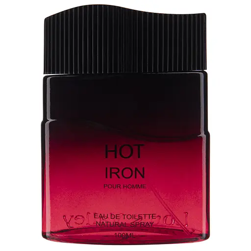 Туалетна вода для чоловіків Lotus Valley Hot Iron 100мл (MM31999)