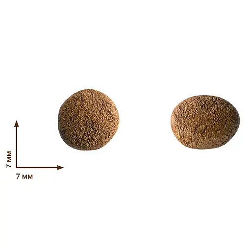 Уценка. Сухой корм для котят Home Food Fresh с курицей 1.6 кг - фото 2