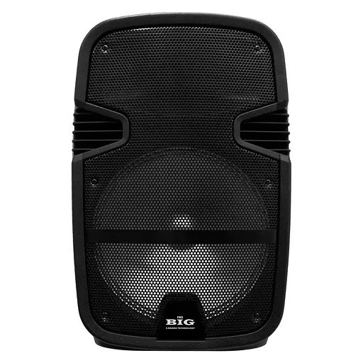 Портативная колонка BIG 300TORNADO два радио микрофона, караоке - фото 2