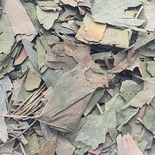 100 г гінкго білоба листя сушене - свіжий урожай