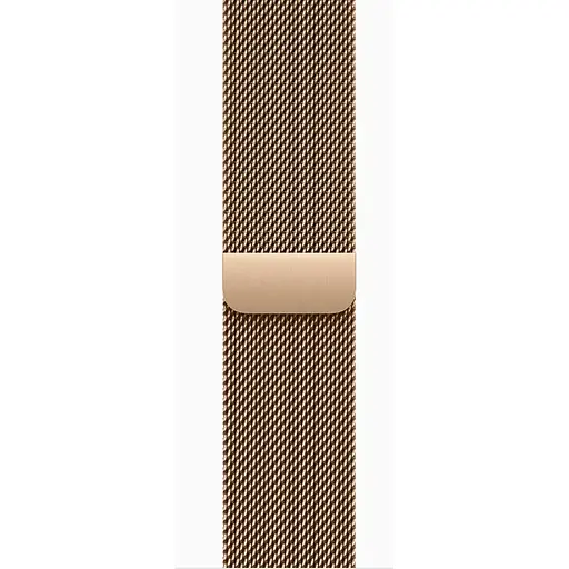 Смарт-часы Apple Watch Series 10 GPS + Cellular 42mm Gold Titanium Case w. Gold Milanese Loop MX083 - фото 3