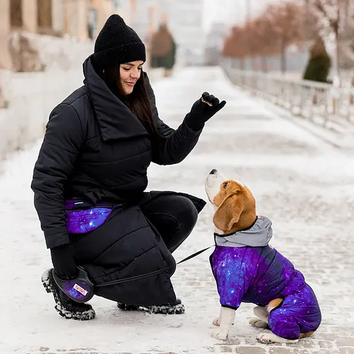 Комбінезон для собак Waudog Clothes малюнок NASA21 M47 В 69-72 см С 41-44 см [CD] - фото 3