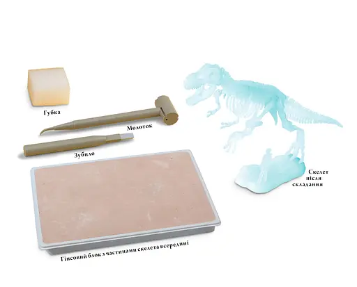 Светящийся в темноте Тиранозавр Rozum - Научный набор (R063UA) - фото 6