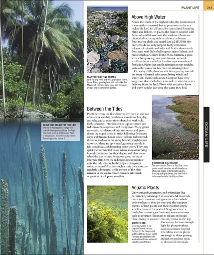 Ocean. The Definitive Visual Guide - фото 4