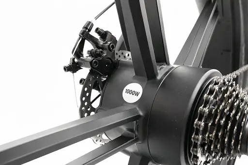 Електровелосипед Fate bike Maraton 20 SPITFIRE (1000W/48V/21Ah) задній привід - фото 5