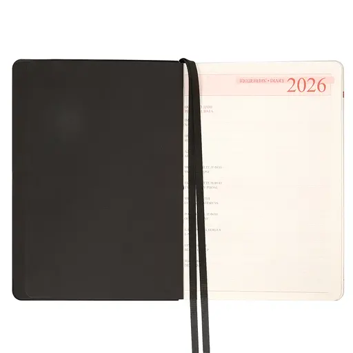Дневник-деловая записная книжка А5 Leo Planner датирована 2026 Boss черный 368 страниц (252634) - фото 2