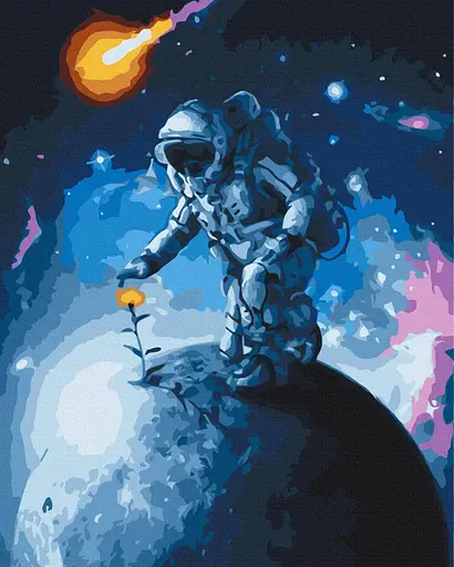 Картина за номерами на підрамнику Brushme Квіти Всесвіту