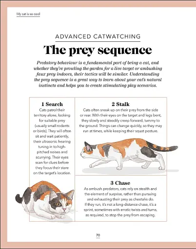 What's My Cat Thinking? Understand Your Cat to Give Them a Happy Life - фото 9