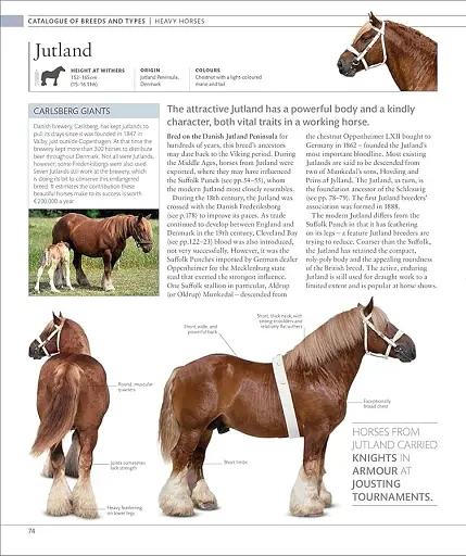 The Horse Encyclopedia (new edition) - фото 3