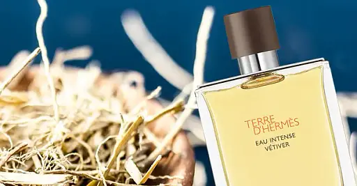 Hermes Terre d'Hermes Eau Intense Vetiver парфюмированная вода 50 ml. - фото 4