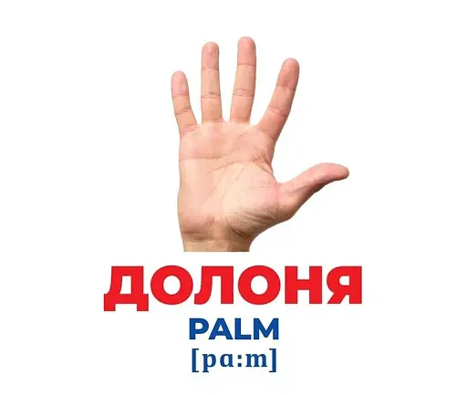 Будова тіла. Геній з пелюшок - фото 3