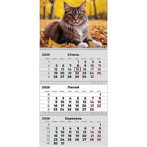 Календар настінний Axent Cats 2 на пружинах квартальний на 2026 рік (8803-26-14-A)