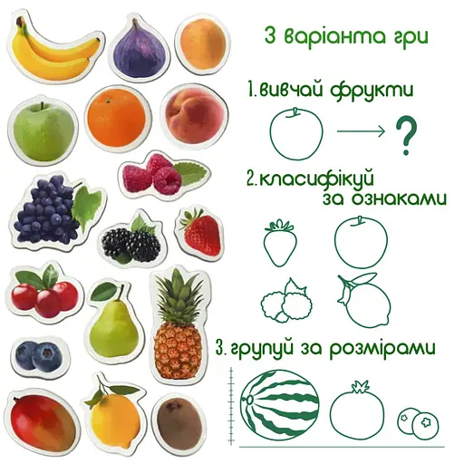 Набор магнитов Magdum "Фрукты и ягоды" ML4031-11 EN - фото 4