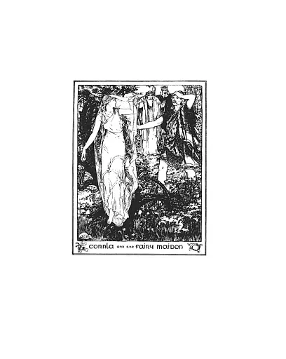 Irish Fairy Tales - фото 8