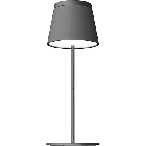 Настольная лампа Proove Vintage Black (NLPV05012001) (136539)