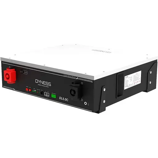 Аккумулятор Dyness LiFePO4 48V (51.2V/100Ah/5120Wh) (DL5.0C Heating) [154350] - фото 1