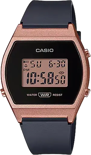 Годинник Casio Timeless Collection LW-204-1AEF