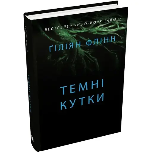 Книга Темні кутки - Ґіліян Флінн (КМ-Букс) - фото 1