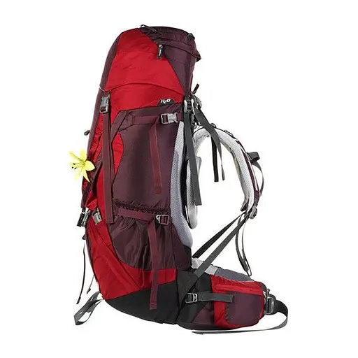 Рюкзак Deuter Aircontact 60+10 SL Old Aubergine-Cranberry (1052-3320416 5518) - фото 2