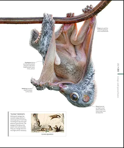 The Science of Animals - фото 6