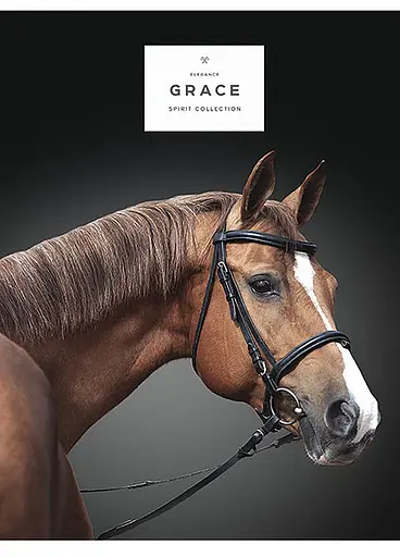 Комплект 4 шт загальних зошитів. Зошит Школярик А5 80 арк. у лінію 5061 4823088207750 - фото 3