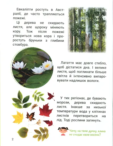 Класна абетка. Рослини - фото 3